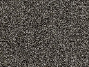 Ковролин e-firm 49 фото 1 | FLOORDEALER