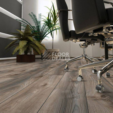 Kronotex Mammut Plus d4792 Дуб Серый Макро фото 8 | FLOORDEALER