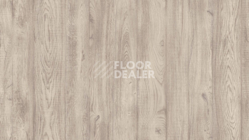 Линолеум Tarkett Philosophy COEN 1 фото 1 | FLOORDEALER