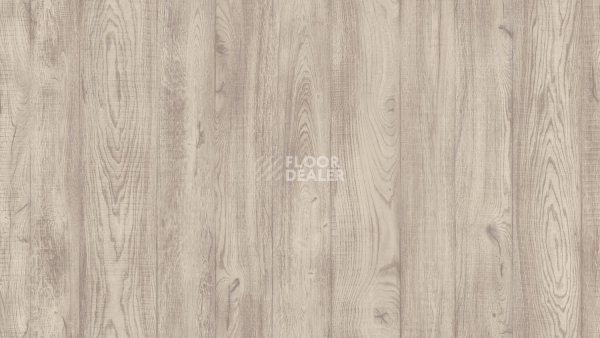 Линолеум Tarkett Philosophy COEN 1 фото 1 | FLOORDEALER