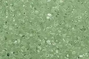 Линолеум Apoluza Tangyun 1010 фото  | FLOORDEALER