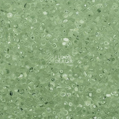 Линолеум Apoluza Tangyun 1010 фото 1 | FLOORDEALER