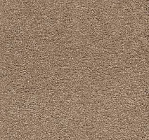 Ковролин AW VivendiI Aaura 38 фото 1 | FLOORDEALER