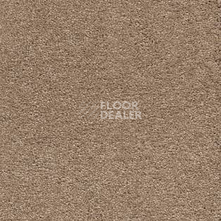 Ковролин AW VivendiI Aaura 38 фото 1 | FLOORDEALER