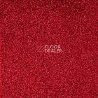 Ковролин Big Vivaldi 440 фото 1 | FLOORDEALER