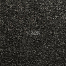 Ковролин Sintelon Harmony 33656 фото 1 | FLOORDEALER