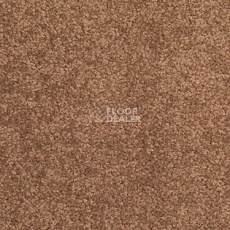 Ковровая плитка Modulyss Cambridge 827 фото 1 | FLOORDEALER