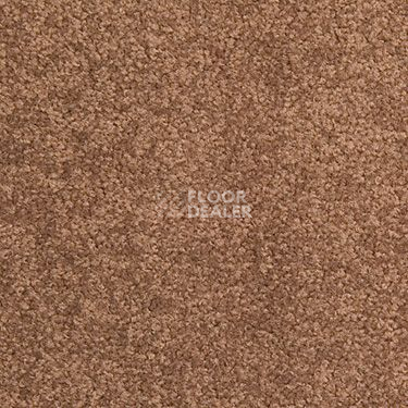 Ковровая плитка Modulyss Cambridge 827 фото 1 | FLOORDEALER