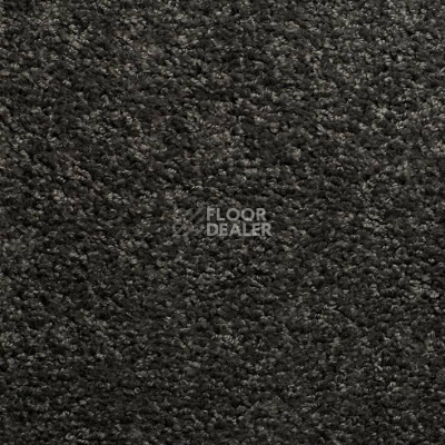 Ковролин Sintelon Harmony 33656 фото 1 | FLOORDEALER