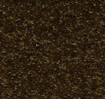 Ковролин AW Gaia Meridia 44 фото 1 | FLOORDEALER