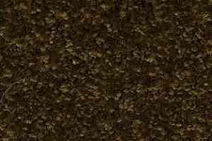 Ковролин AW Gaia Meridia 44 фото  | FLOORDEALER