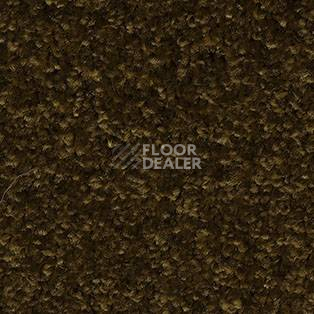 Ковролин AW Gaia Meridia 44 фото 1 | FLOORDEALER