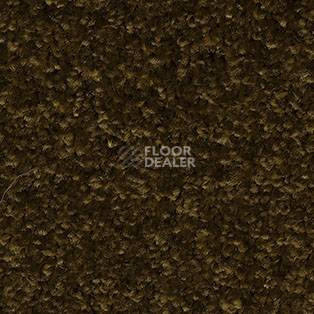 Ковролин AW Gaia Meridia 44 фото 1 | FLOORDEALER