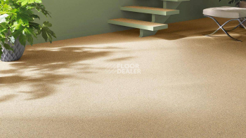 Vorwerk Essential 1031 Vorwerk 2f27 фото 2 | FLOORDEALER