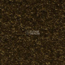 Ковролин AW Gaia Meridia 44 фото 1 | FLOORDEALER