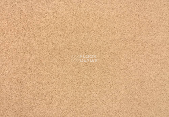 Ковролин Lano Zen 164 фото 1 | FLOORDEALER