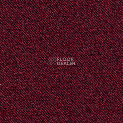 Ковролин Associated Weavers Maxima 12 фото 1 | FLOORDEALER