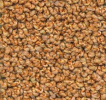 Ковролин Dura Oriental 332 фото 1 | FLOORDEALER