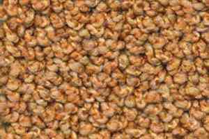 Ковролин Dura Oriental 332 фото  | FLOORDEALER