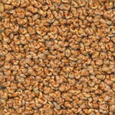 Ковролин Dura Oriental 332 фото 1 | FLOORDEALER