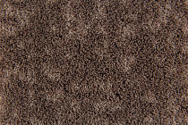 Flotex Colour Metro 5050 t 546029 Metro Truffle фото 2 | FLOORDEALER