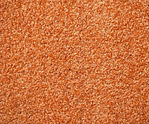 Ковролин Зартекс Кидс Кидс 284 Апельсин фото 1 | FLOORDEALER