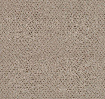 Ковролин Lano Square 462 фото 1 | FLOORDEALER