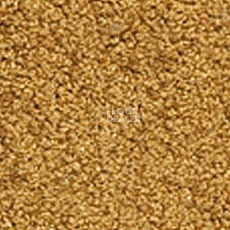 Ковролин Girloon Flair 270 фото 1 | FLOORDEALER