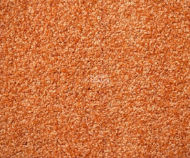 Зартекс Кидс Кидс 284 Апельсин фото 1 | FLOORDEALER