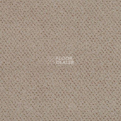 Ковролин Lano Square 462 фото 1 | FLOORDEALER