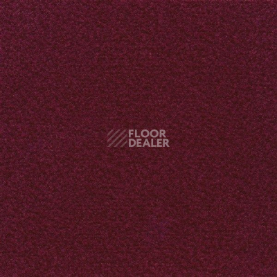 Ковролин Sintelon Velveto 74512 фото 1 | FLOORDEALER