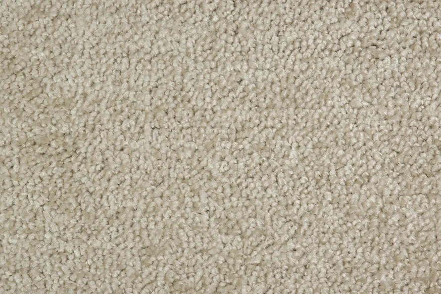 AW Omnia 33 фото 3 | FLOORDEALER