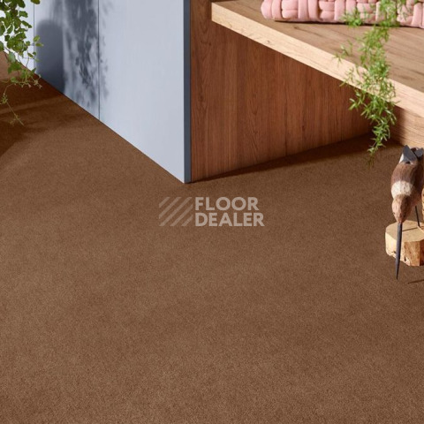 Vorwerk Superior 1072/Nutria Comfort Vorwerk 7g66 фото 2 | FLOORDEALER