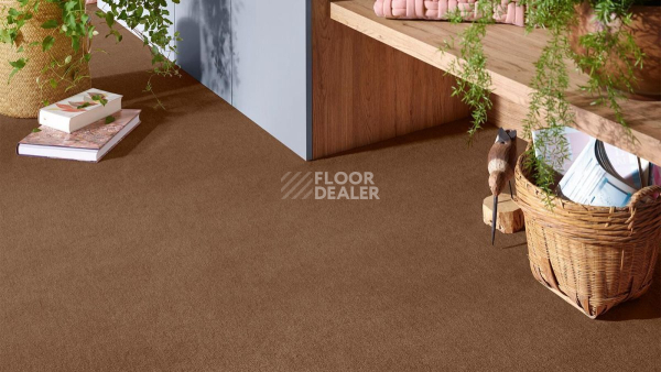 Vorwerk Superior 1072/Nutria Comfort Vorwerk 7g66 фото 2 | FLOORDEALER