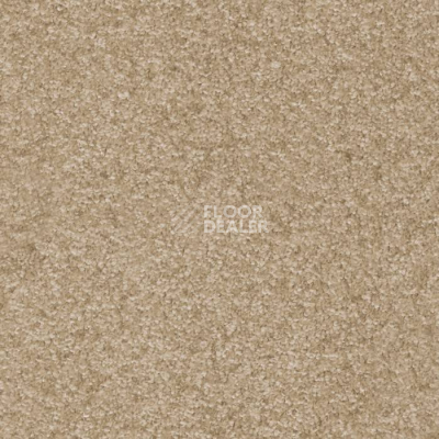 Ковролин AW Masquerade Porzia 39 фото 1 | FLOORDEALER