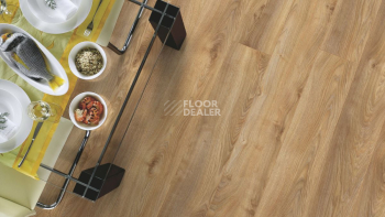 Kronotex Mammut Plus d4794 Дуб Натуральный Макро фото 4 | FLOORDEALER