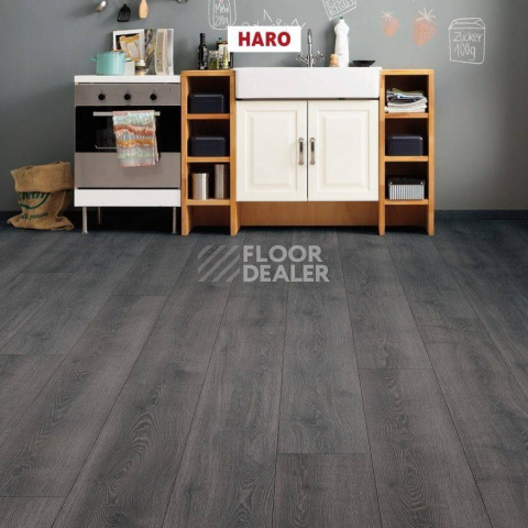 Haro Tritty 100 4V ДУБ КОНТУРА ЧЕРНЫЙ 534461 фото 2 | FLOORDEALER