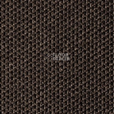 Ковролин Carpet Concept Eco Tec 280008 - 6765 фото 1 | FLOORDEALER