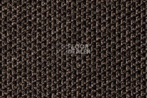 Ковролин Carpet Concept Eco Tec 280008_6765 фото 1 | FLOORDEALER