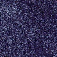 Ковролин Serene Beaulieu of America 01 фото 1 | FLOORDEALER