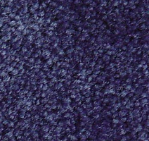 Ковролин Serene Beaulieu of America 01 фото 1 | FLOORDEALER