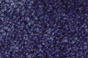 Ковролин Serene Beaulieu of America 01 фото  | FLOORDEALER