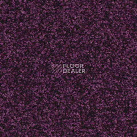Ковролин Balsan Serenite 890 фото 1 | FLOORDEALER