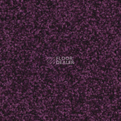 Ковролин Balsan Serenite 890 фото 1 | FLOORDEALER