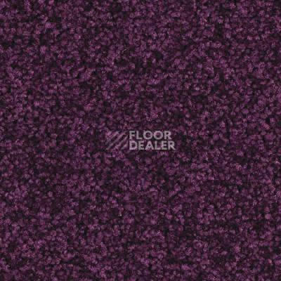 Ковролин Balsan Serenite 890 фото 1 | FLOORDEALER