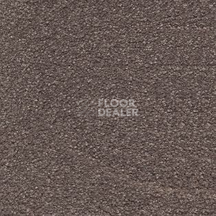 Ковролин AW Suspense 40 фото 1 | FLOORDEALER