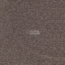 Ковролин AW Suspense 40 фото 1 | FLOORDEALER