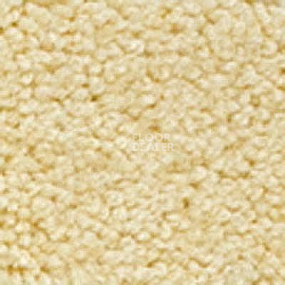 Ковролин Girloon Body1 211 фото 1 | FLOORDEALER