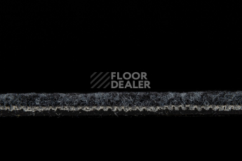 IVC Animate 569 фото 3 | FLOORDEALER