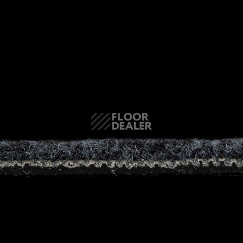 IVC Animate 569 фото 3 | FLOORDEALER